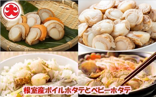 B-01060【12/21まで年内配送】 \漁業者応援品/【北海道根室産】ボイルホタテ800g×2P、ボイルベビーホタテ1kg×1P北海道根室市23000魚介・海産物貝類