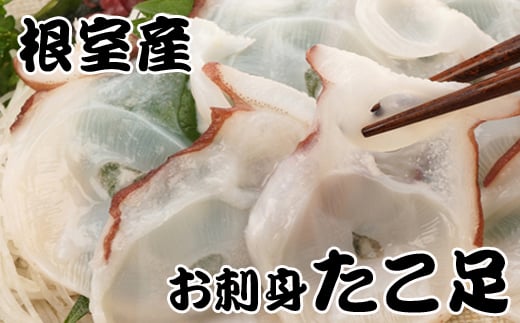 A-30050【12/21まで年内配送】 【北海道根室産】たこ足800g前後〜1.4kg前後×1本北海道根室市14000魚介・海産物イカ・タコ・ウニ