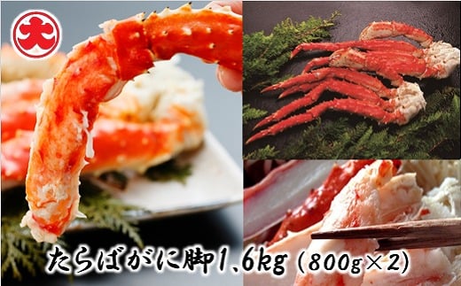 D-01058【年内配送可】 たらばがに脚800g×2P(計1.6kg)北海道根室市58000魚介・海産物カニ