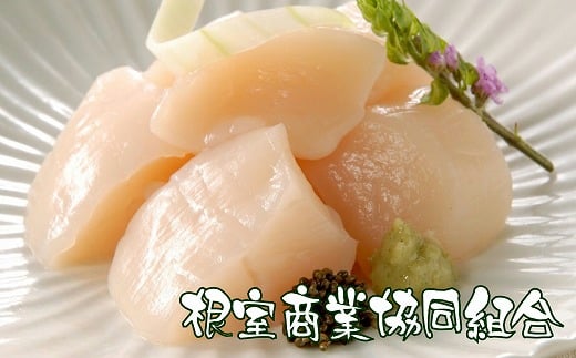A-18034【年内配送可】 \漁業者応援品/ほたて貝柱300g×2P北海道根室市14000魚介・海産物貝類
