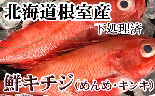 C-70069y12/21܂ŔNzz ykCYzL`W(LLE߂)×3`5()kCs29000ECYL