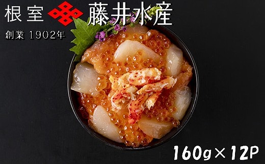 D-42062【12/21まで年内配送】 【北海道根室産】かに・いくら・サーモン・帆立の海鮮パック 160g×12P北海道根室市58000魚介・海産物鮮魚