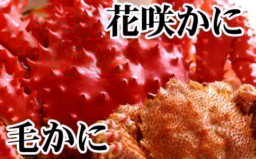 C-36071y12/21܂ŔNzz т400gO`550gO×1Eԍ炩500gO`650gO×1kCs29000ECYJj