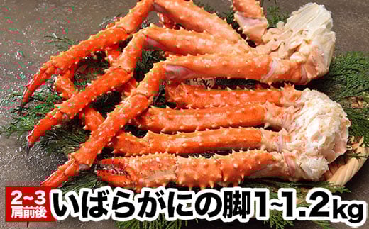 A-48023y12/21܂ŔNzz ΂炪ɂ̋r2`3O(v1`1.2kg)kCs14000ECYJj