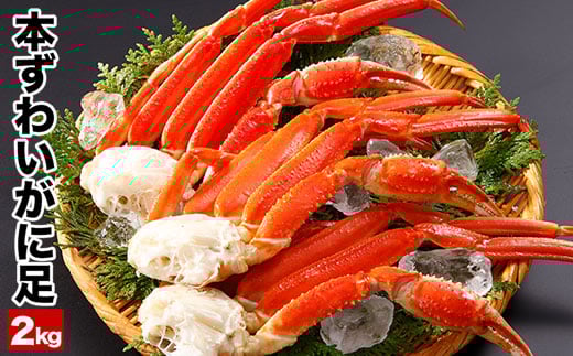 C-25022y12/21܂ŔNzz {C{킢ɂ̑2kgkCs29000ECYJj