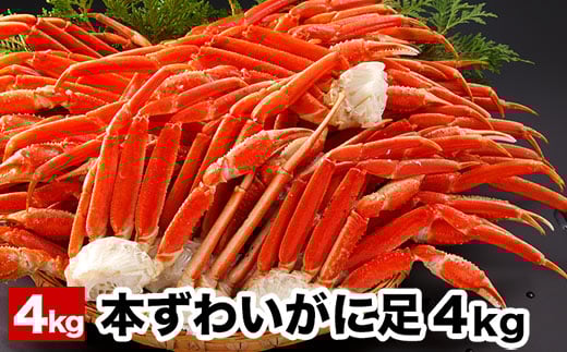 D-58005y12/21܂ŔNzz {C{킢ɂ̑4kgkCs58000ECYJj