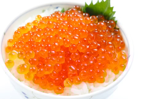 B-81016y12/17܂ŔNzz H100g×4P(v400g)kCs23000ECY