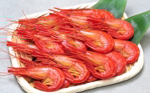 A-06010y12/17܂ŔNzz ykCYzkC܂400g(19`24)kCs14000ECYGr