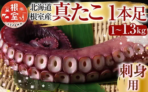 A-19004y12/21܂ŔNzz ykCYz^1{ 1`1.3kgkCs14000ECYCJE^REEj