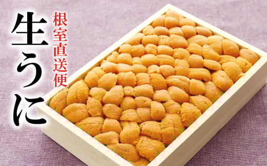 F-40007【12/14まで年内配送】 エゾバフンウニ250g×1折北海道根室市34000魚介・海産物イカ・タコ・ウニ