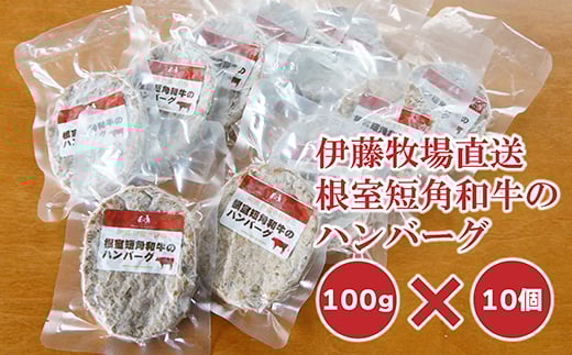 A-13024【年内配送可】 【北海道根室産】短角和牛のハンバーグ100g×10P北海道根室市14000肉牛肉