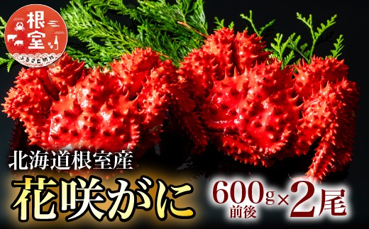B-20001【12/14まで年内配送】  【北海道根室産】花咲がに600g前後×2尾北海道根室市23000魚介・海産物カニ