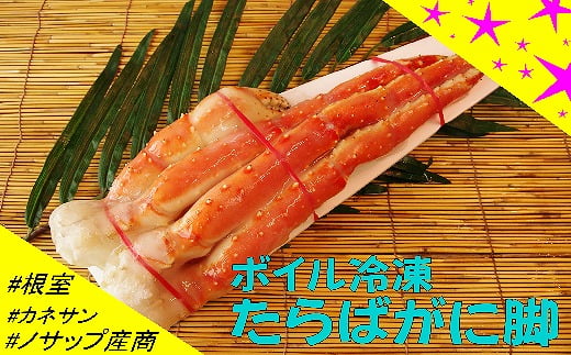 F-59008y12/21܂ŔNzz ykCYz{CⓀ΂ɋr1680gkCs34000ECYJj