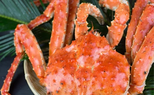 D-89007【年内配送可】 タラバガニ生棒ポーション1kg北海道根室市58000魚介・海産物カニ