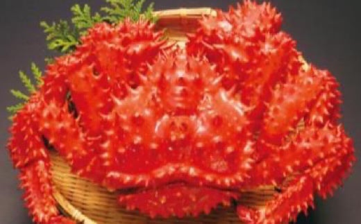 D-89002y12/21܂ŔNzz ԍKj{CⓀ1.5kgO×1kCs58000ECYJj