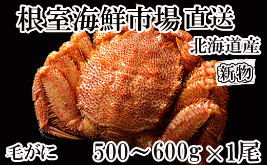 B-11109【年内配送可】  ボイル毛がに500〜600g×1尾北海道根室市23000魚介・海産物カニ