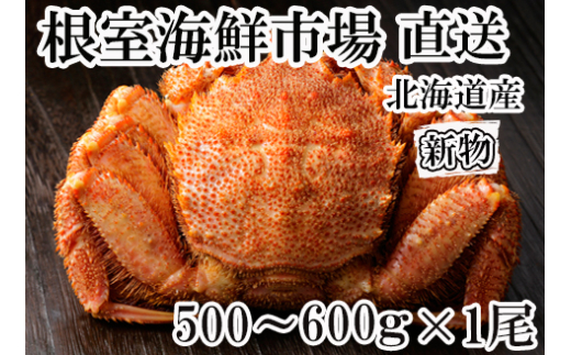 B-28110【12/10まで年内配送】  根室海鮮市場<直送>ボイル毛がに500〜600g×1尾北海道根室市23000魚介・海産物カニ