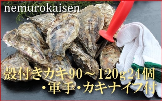 C-57036【年内配送可】 【北海道根室産】殻付カキ90〜120g×24個北海道根室市29000魚介・海産物貝類
