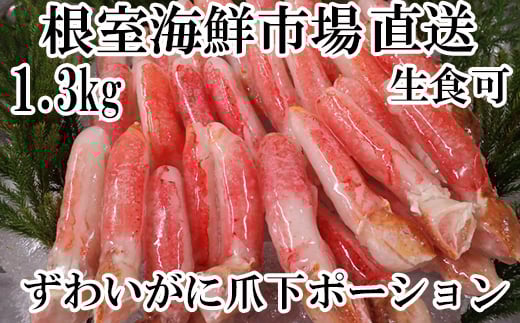 B-14086【年内配送可】  生食用本ズワイガニ爪下棒肉ポーション1.3kg北海道根室市23000魚介・海産物カニ