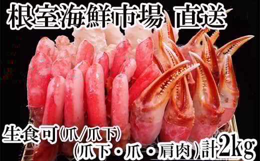 B-14087y12/10܂ŔNzz  {YCKj(ܖ_|[VE܉_|[VE)2kgZbgkCs23000ECYJj