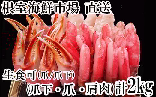 B-28085y12/10܂ŔNzz  CNsꁃ{YCKj(ܖ_|[VE܉_|[VE)2kgZbgkCs23000ECYJj