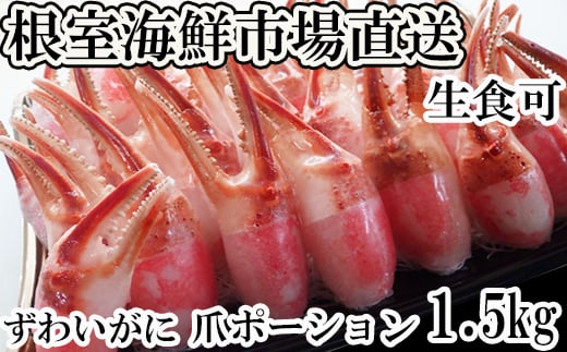 B-14088【年内配送可】  生食用本ズワイガニ爪ポーション1.5kg北海道根室市23000魚介・海産物カニ