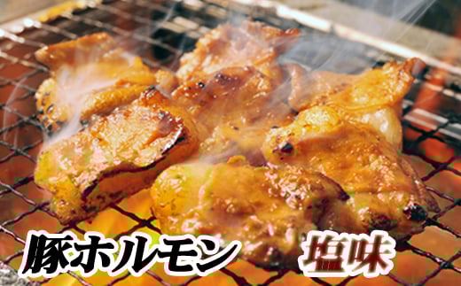 A-76025【年内配送可】 味付け豚ホルモン(塩味)250g×4P北海道根室市14000肉豚肉