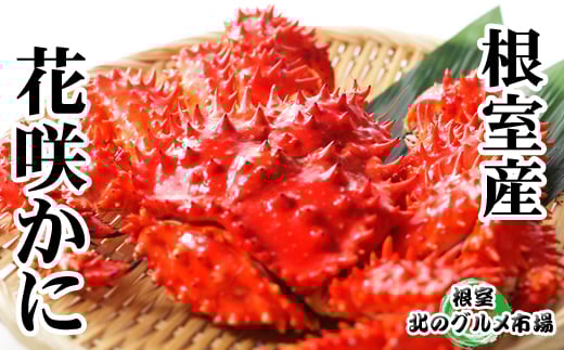 A-76029【年内配送可】 【北海道根室産】花咲かに500g前後〜650g前後×1尾北海道根室市14000魚介・海産物カニ
