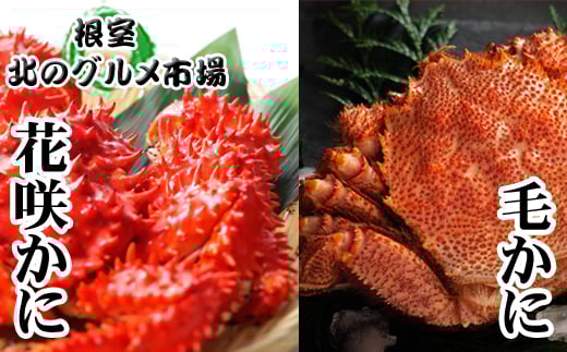 B-76029y12/21܂ŔNzz т400gO`550gO×1Aԍ炩300gO`450gO×1kCs23000ECYJj