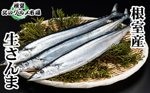 C-76001【年内配送可】 【北海道根室産】冷凍さんま5尾×8P(計40尾)北海道根室市29000魚介・海産物その他 魚介・海産物