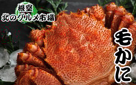 D-76010y12/21܂ŔNzz т400g`550gO×4kCs58000ECYJj