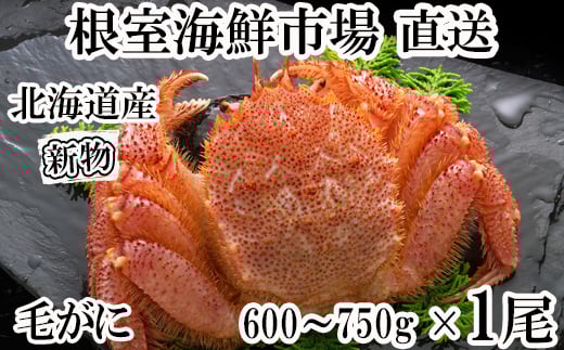 C-14033y12/10܂ŔNzz  {Cт600`750g×1kCs29000ECYJj