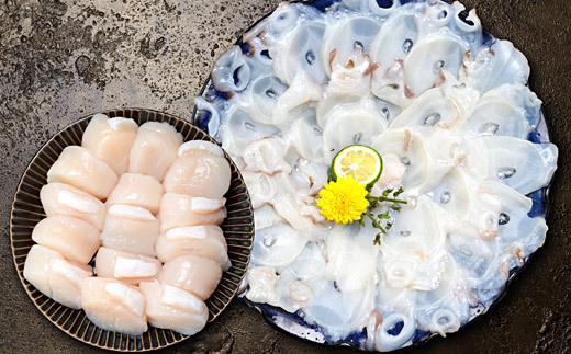 B-24013【12/17まで年内配送】 たこしゃぶ250g×4P(計1kg)・ほたて貝柱500gセット北海道根室市23000魚介・海産物イカ・タコ・ウニ