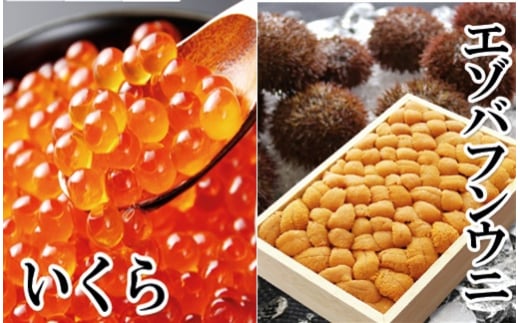 D-40054 G]otEjol140g×1AݖЂ150g×1P[2026N1{ȍ~]kCs58000ECYCJE^REEj