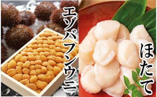 D-40055 G]otEjol140g×1Ahgz^eL500g×1P[2026N1{ȍ~]kCs58000ECYCJE^REEj