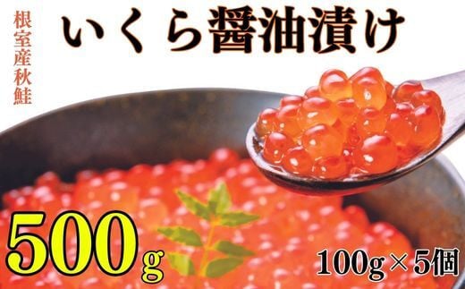 B-83004【12/21まで年内配送】 【北海道根室産】いくら醤油漬け100g×5P北海道根室市23000魚介・海産物いくら