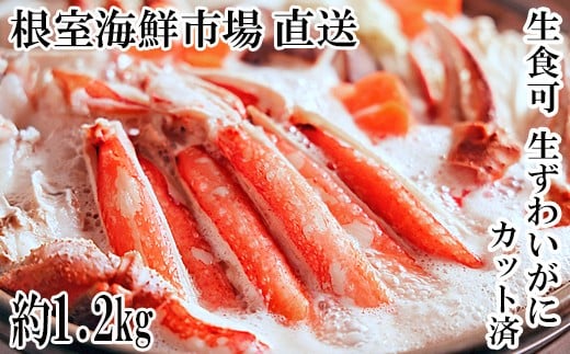 B-14101【12/10まで年内配送】  生食可!カット済み生ずわいがに約1.2kg(お刺身・焼きガニ・カニ鍋等)北海道根室市23000魚介・海産物カニ