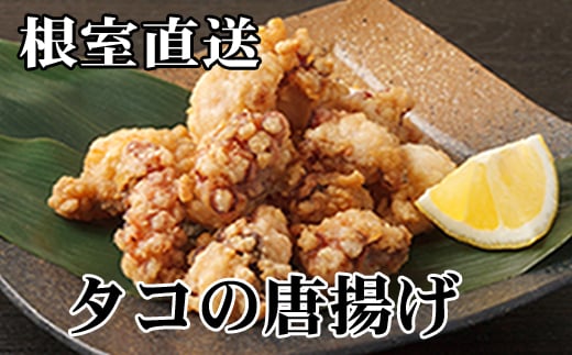 B-70044yNzz ykCYzg250g×3PkCs23000ECYCJE^REEj