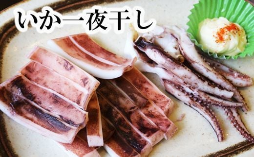 A-32036【年内配送可】 いか一夜干し1枚×6P北海道根室市14000魚介・海産物イカ・タコ・ウニ