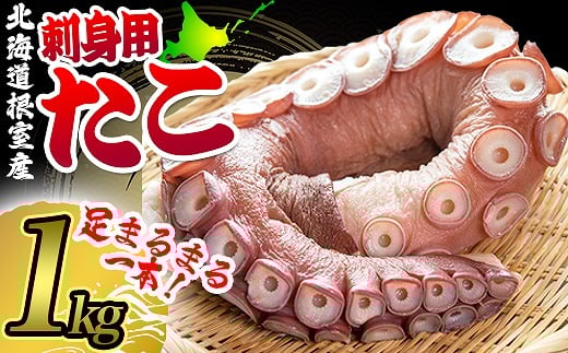 A-80003【年内配送可】 【北海道根室産】たこ足刺身用1本(1kg以上)北海道根室市14000魚介・海産物イカ・タコ・ウニ