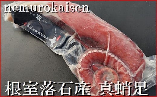 A-57059【12/21まで年内配送】 【北海道根室産】刺身用真だこ足800g〜1.2kg前後×1本北海道根室市14000魚介・海産物イカ・タコ・ウニ