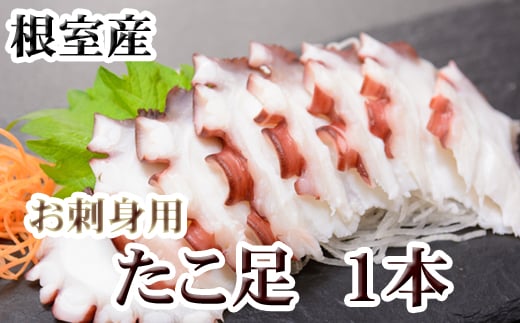 G-36008【年内配送可】 【北海道根室産】たこ足500g前後〜800g前後×1本北海道根室市10000魚介・海産物イカ・タコ・ウニ
