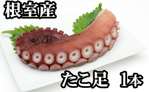 G-76008y12/21܂ŔNzz ykCYz500gO`800gO×1{kCs10000ECYCJE^REEj