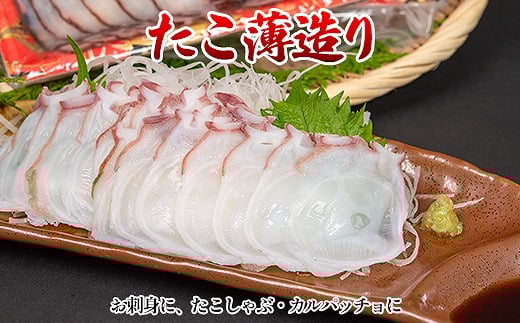 G-80001【12/21まで年内配送】 たこ薄造り150g×1P(お刺身・たこしゃぶ用)北海道根室市10000魚介・海産物イカ・タコ・ウニ