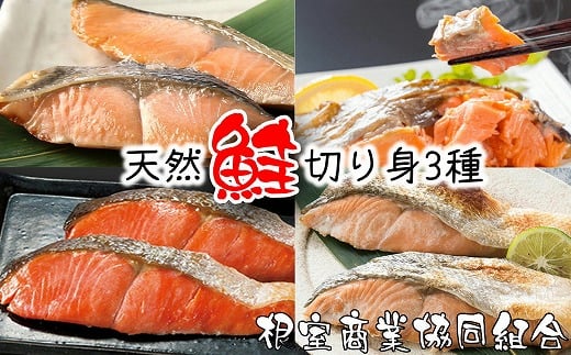 G-18011【年内配送可】 天然鮭切り身3種(紅鮭・沖獲れ鮭・秋鮭)北海道根室市10000魚介・海産物鮮魚