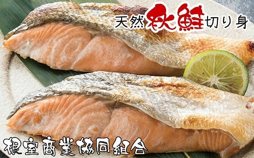 G-18014【12/10まで年内配送】 天然秋鮭切り身5切×3P北海道根室市10000魚介・海産物鮮魚
