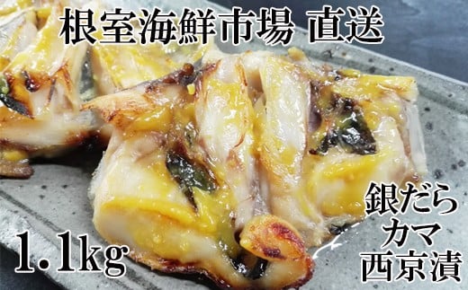 G-11009【年内配送可】  銀だらカマ西京漬け1.1kg北海道根室市10000魚介・海産物その他 魚介・海産物