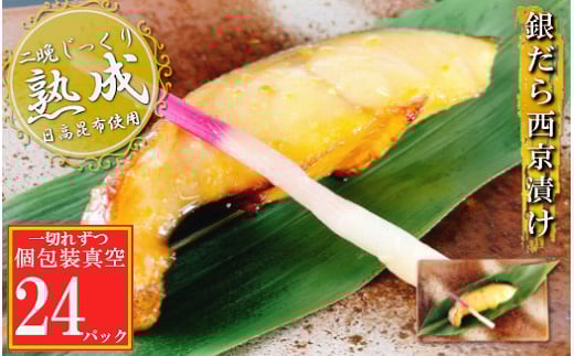 B-09113y12/14܂ŔNzz ₾琼Ђ1×24P(^)kCs23000ECY̑ ECY