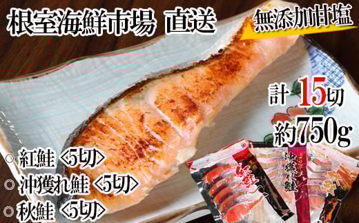 G-14039y12/10܂ŔNzz  YÉVR3Zbg(v15؁A750g)kCs10000ECYN