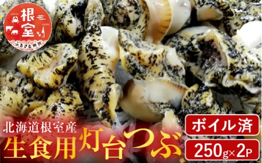 G-14040y12/10܂ŔNzz  ykCYzHp({C)250g×2P(v500g)kCs10000ECYL